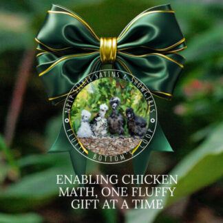 Digital Gift Card or Gift Box Magnet set